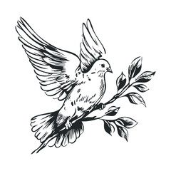 Obraz premium A detailed sketch of a dove perched on a branch.