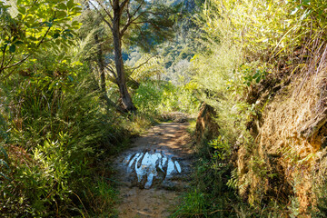 Fototapete bei efototapeten.de bestellen   