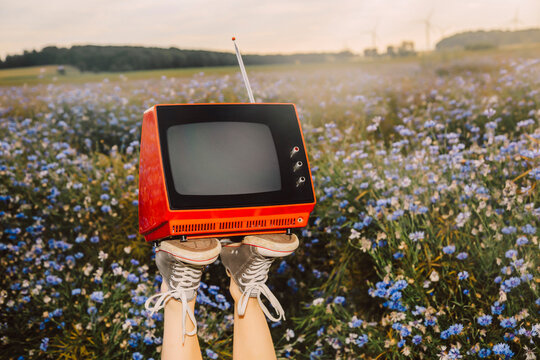 Relaxed person holds retro red TV in summer meadow with purple cornflower