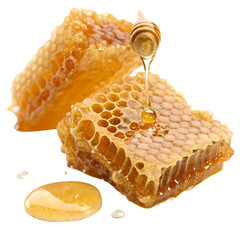 Honeycomb and Honey: Golden Texture, Sweet Treat