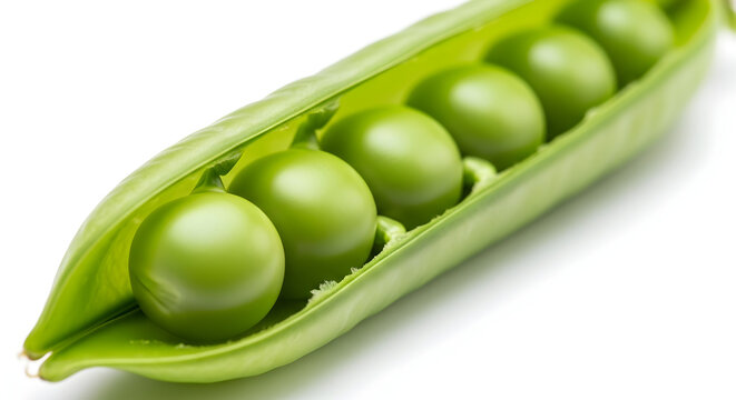 Fresh Green Pea Pod Opened to Reveal a Row of Round Peas, Isolated on a White Background