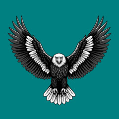 Obraz premium Majestic Bald Eagle with Wings Spread Wide Sharp Gaze and Detailed Plumage