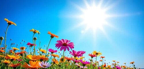 Fototapeta premium Vibrant wildflowers bloom beneath a brilliant blue sky, vibrant, day