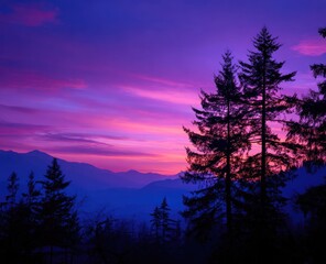Fototapeta premium Purple Sunset Behind Trees Silhouette