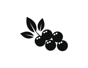 Black Silhouette of Berries on a Stem with Leaves Keywords: berry, fruit, food, nature, plant