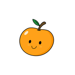 vector illustration of an orange fruit