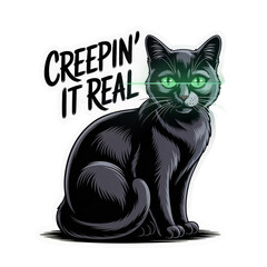 cat, kitten, animal, pet, feline, isolated, domestic, white, fur, cute, kitty, portrait, adorable, eyes, pets, young, black, mammal, animals, looking, beautiful, white background, tabby, baby, small