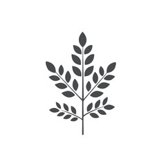 Fototapeta premium Dark gray silhouette of a leafy branch on a white background