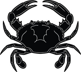 Crab illustration with raised claws, black and white marine animal vector, detailed symmetrical sea creature artwork for educational stock use