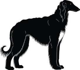Elegant sighthound silhouette illustration, black and white long-haired dog vector with alert stance for stock design and breed recognition