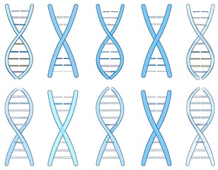DNA helix variations.  Various representations