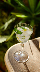 Elegant glass filled with refreshing cocktail, garnished with mint leaves and lemon slices, set on a sunny table surrounded by greenery, stories templates with copy space