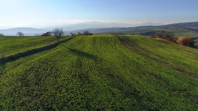 Agricultural landscape, drone flight over green field, mountains range, autumn