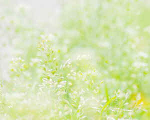 #マイタムロンレンズ#SPAF90mmF2.8DiMACRO #A043 #街撮り #散歩写真 #風景 #ミラーレス　#photooftheday #tokyo #cool #ハート #heart