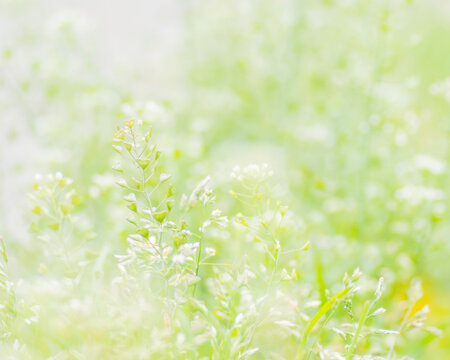 #マイタムロンレンズ#SPAF90mmF2.8DiMACRO #A043 #街撮り #散歩写真 #風景 #ミラーレス　#photooftheday #tokyo #cool #ハート #heart