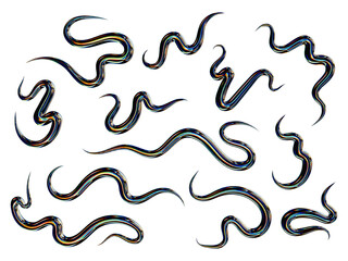 Set of wavy 3D shapes with sharp edges, holographic metallic noisy texture, transparent background