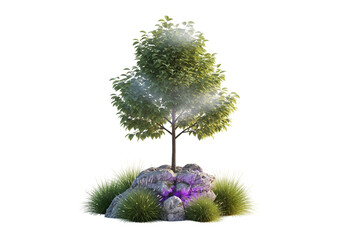A small tree stands amidst rocks and grasses, bathed in soft, ambient light, creating a tranquil and serene scene.