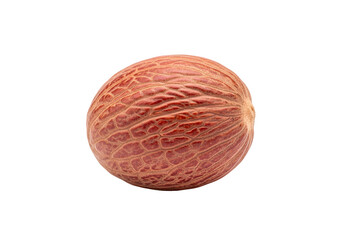 Close-up of a single, reddish-brown seed with intricate texture against a black backdrop.