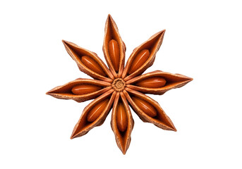 Detailed close-up of a star anise spice, showcasing its intricate star-like structure and rich, warm hues against a stark black backdrop.