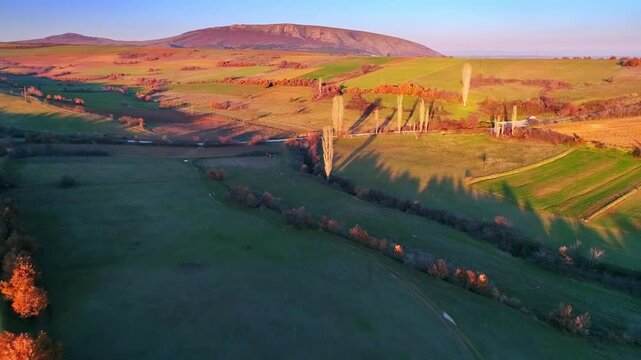 Aerial golden hour landscape, cultivated fields, sunny autumn afternoon