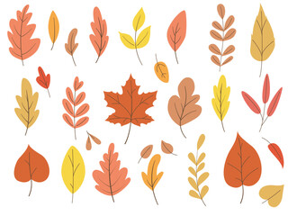 Collection of colorful autumn leaves. Flat Vector illustration isolated on white background