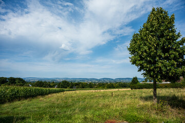 Panorama bei Herford-Löhne