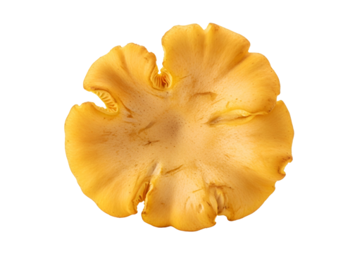 A close-up, detailed view of a vibrant, golden-yellow mushroom cap, showcasing intricate texture and design against a stark black background.