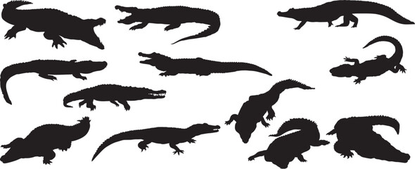 crocodile silhouette vector, lizard shadow outline, reptile animal graphic, iguana silhouette figure, chameleon outline drawing, alligator shadow design, gecko silhouette logo, wild reptile outline, r