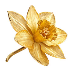 Gold Flower isolated on transparent background  
