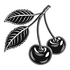 vector illustration of cherries
