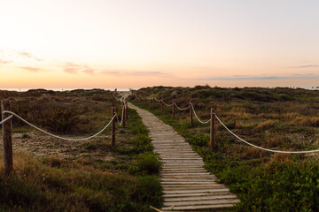 Natural landscape. A winding wooden path leads to a sandy beach. A walking trail at dawn. The concept is one of nature, hiking, and solitude. © maxbelchenko