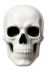 White plastic skull mask with black eye sockets and nose