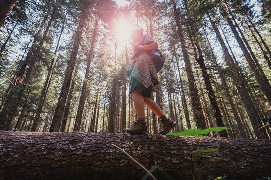 Hiker woman balancing on fallen tree trunk in forest - Powered by Adobe