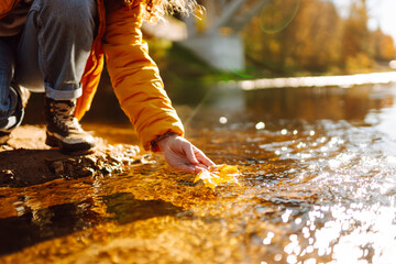 Close-up of hiker in bright jacket places yellow fallen leaf on clear water. Young woman enjoys  autumn scenery at sunset, reaching for a golden leaf floating in water. Autumn concept.