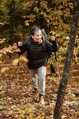 Exploring nature trails with enthusiasm during autumn days in the serene forest