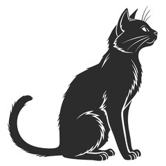 black cat vector illustration
