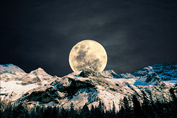 Fototapety na wymiar - Fototapeta24.pl