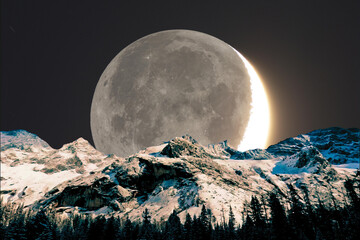 Fototapety na wymiar - Fototapeta24.pl