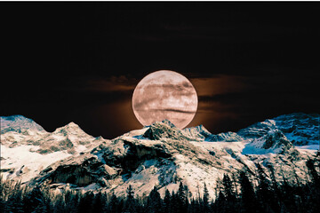 Fototapety na wymiar - Fototapeta24.pl