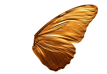 A detailed close-up view of a golden butterfly wing, showcasing intricate textures and rich hues against a striking black backdrop.