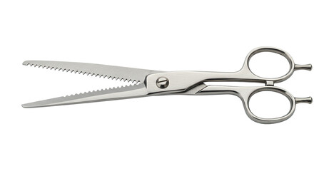 Professional Hairdressing Thinning Shears.