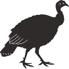 vector illustration of turkey