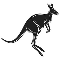 kangaroo vector illustration