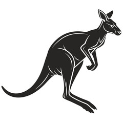 kangaroo vector illustration