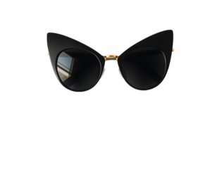 Black Cat Eye Sunglasses Fashion Accessory