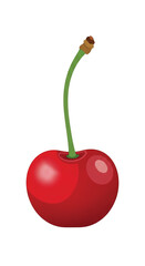 A single ripe red cherry with a green stem.