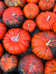 A photograph of numerous bright orange pumpkins shot from above. The pumpkins fill the entire frame, creating a decorative pattern with natural texture and vibrant autumn colors.
