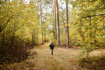 Obraz premium Exploring the tranquil beauty of a forest trail on a vibrant autumn day with a senior woman