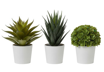Three potted artificial succulent plants isolated PNG with Transparent Background