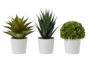Three potted artificial succulent plants isolated PNG with Transparent Background